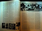 Bild 3 von 3