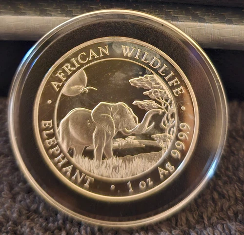 2019 Somalia Silver Elephant 1 oz — photo from the most recent tracked eBay sale