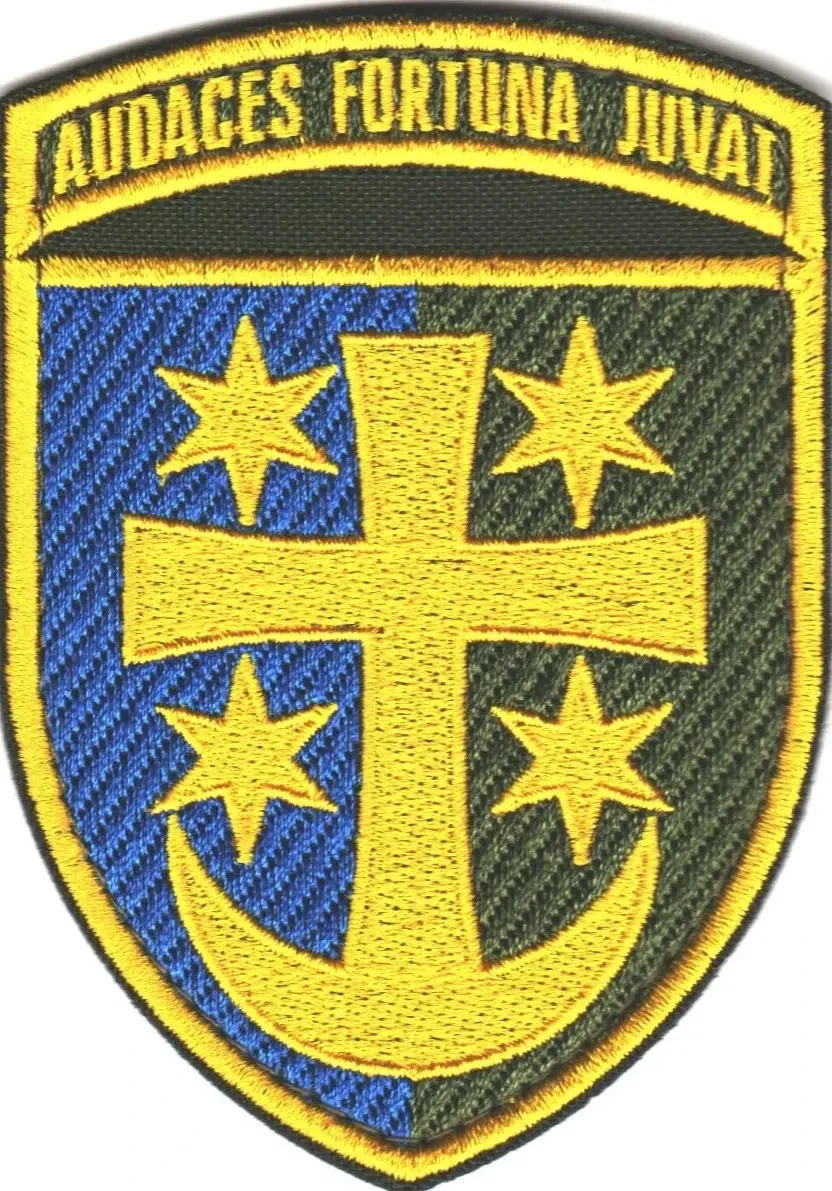 Patches of Various Ukrainian Army Units (Chevrons) 2014-2026