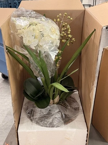 Uttermost Hand-Painted Garden of Moth Orchid Planter, Natural Brown Dish # 60039 - Picture 1 of 9