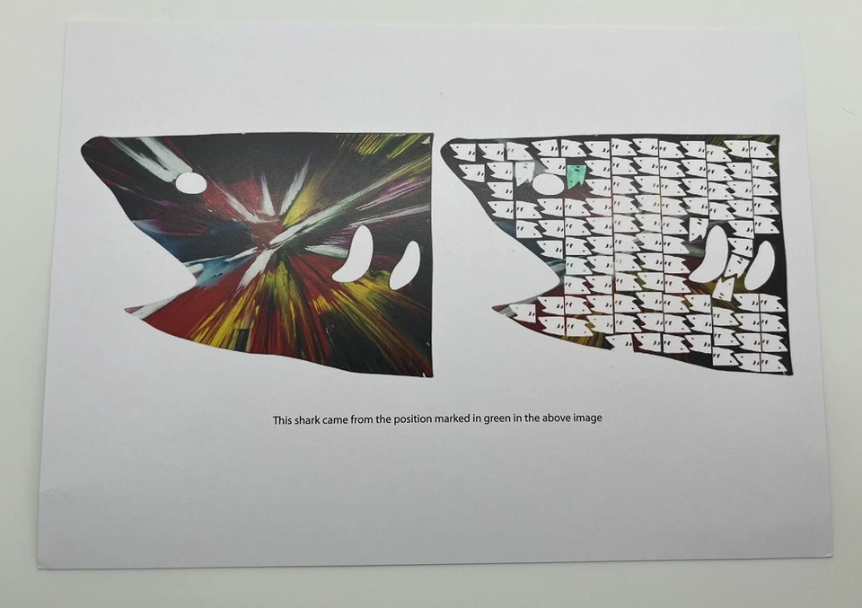 Pintura giratoria de tiburón Damien Hirst Shiverin’ Mini Kiev Ucrania 2009 certificado de autenticidad original Foto 3 de 4