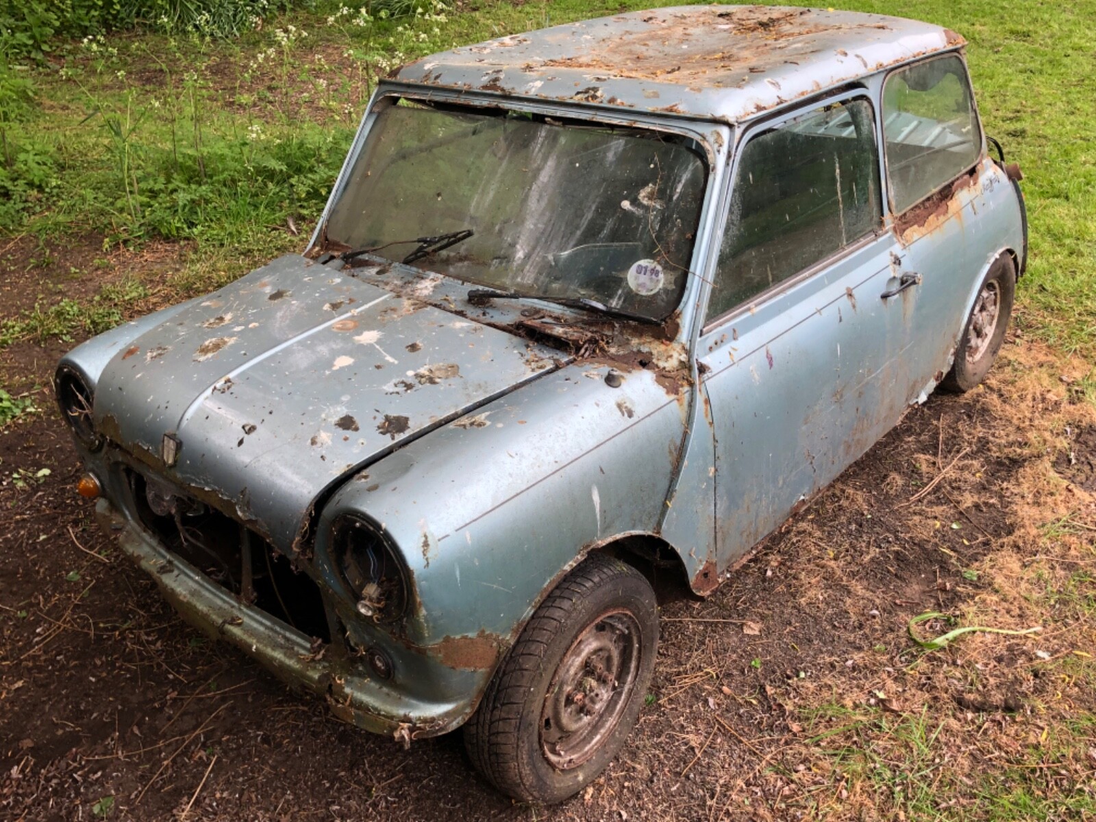 Image 1 - AUSTIN MINI MAYFAIR 1983  ZIRCON BLUE  HEDGE / BARN FIND /SPARES OR BRAVE REPAIR