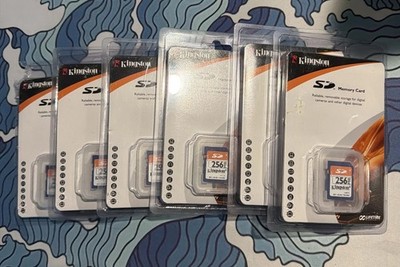 (6) KINGSTONE TECHNOLOGY 256 MB SD/256 SECURE DIGITAL MEMORY CARD One Open box! 