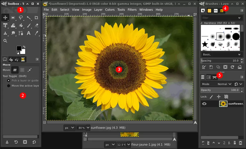 NEW PRO Photo Graphic Design Digital Image Editing Software | GIMP w/ Guide USB - Picture 4 of 15
