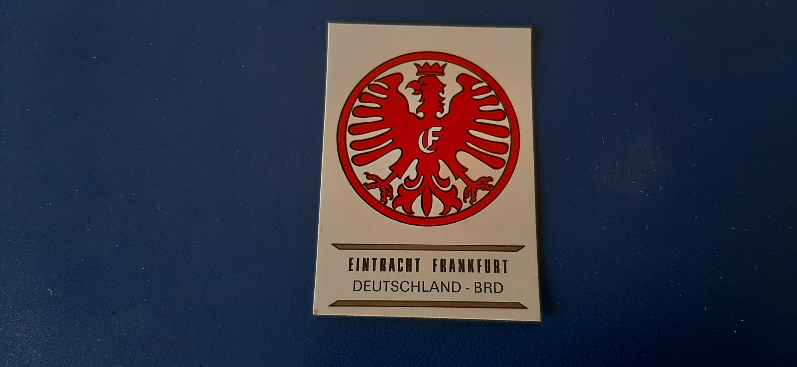 Zdjęcie 112 z 421