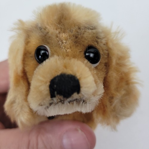 Steiff 'Revue Susi' Cocker Spaniel anni '60 ottime condizioni senza bottone orecchio - Foto 7 di 9
