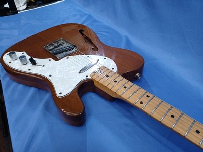 Aria Pro II TE-500 Thinline Telecaster Type Semi-Hollow Electric