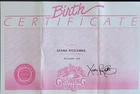 Vintage Growing Hair Cabbage Patch Kids Birth Certificate Girl ~Diana Rosanna