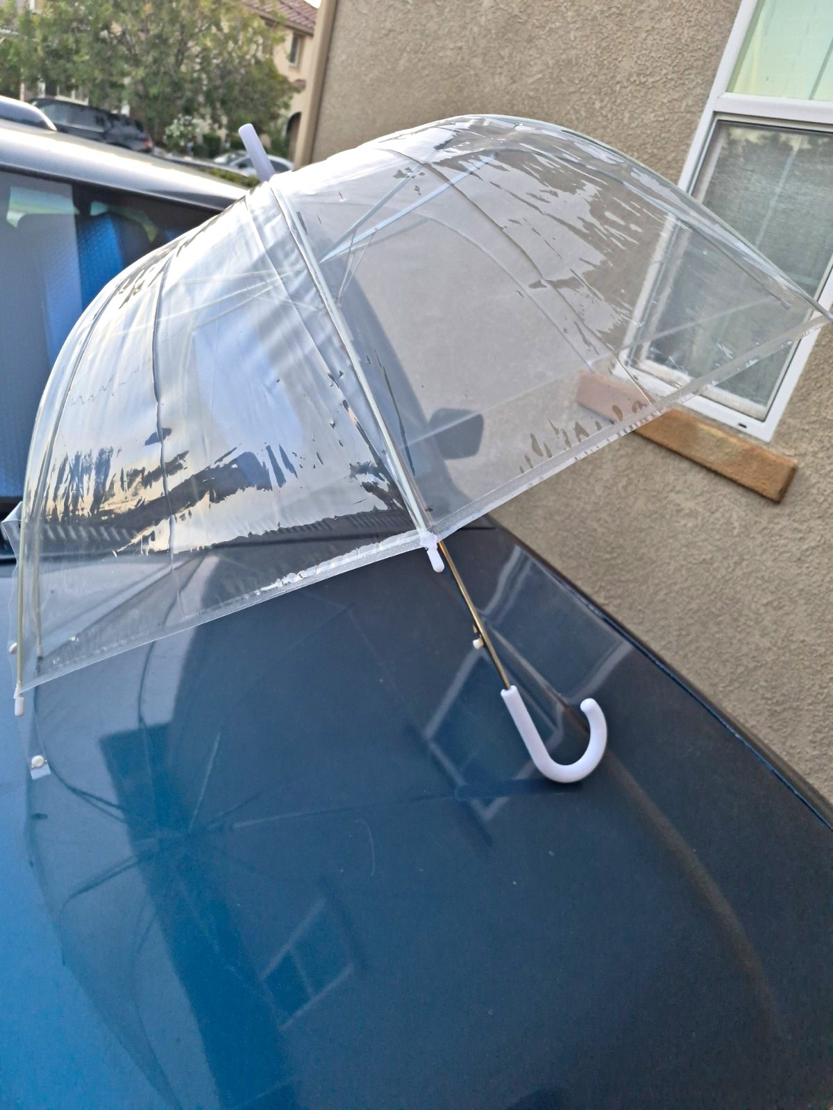 New Adult Size Clear Dome Bubble Umbrella  Plastic/Metal, White Hook Handle