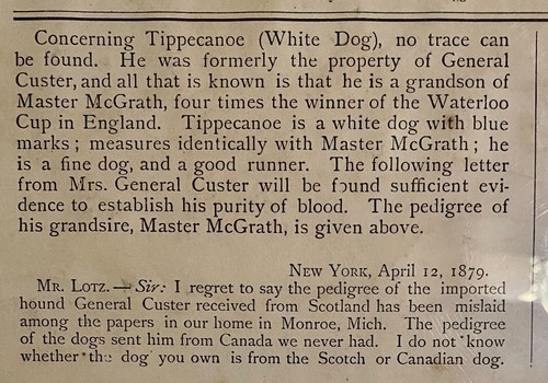 Original Chromolithograph By Alexander Pope of 2 Greyhounds Owned by Gen. Custer - Picture 7 of 8