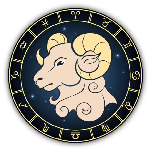 Capricorn Zodiac Sign Car Bumper Sticker Decal 5