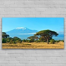 Modern Art Glass Picture Home Deco Photo Image 140x70 Amboseli National Park