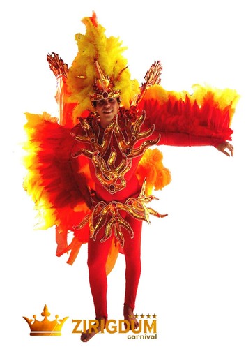 Bird man fancy dress, male halloween costumes 2022, fancy outfits for guys - Picture 3 of 7