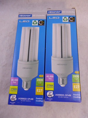 MEGAMAN LED CLUSTERLITE-E27-22W-2800lm 2700K - LH200022-OPv00