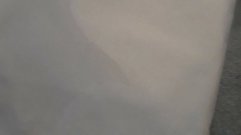 Elegant Lace Bed Mosquito Netting Mesh Canopy fits most bed sizes - Photo 2/2