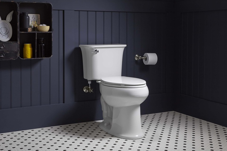 KOHLER K105542BZ Devonshire Toilet Tissue Holder, Oil Rubbed Bronze