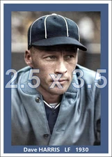 Dave Harris - 1930 Chicago White Sox - choose a style - colorized print