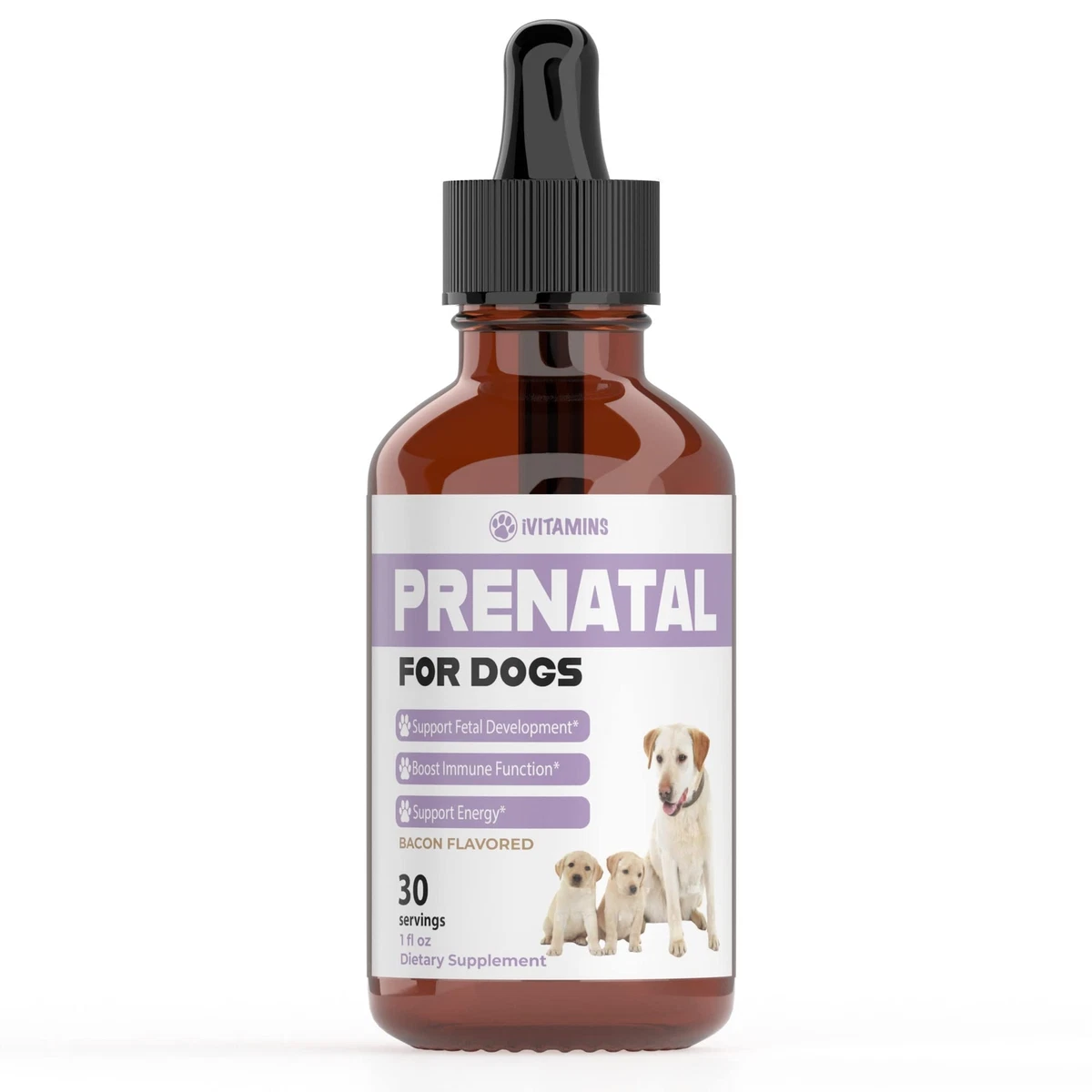 Do Pregnant Dogs Need Prenatal Vitamins