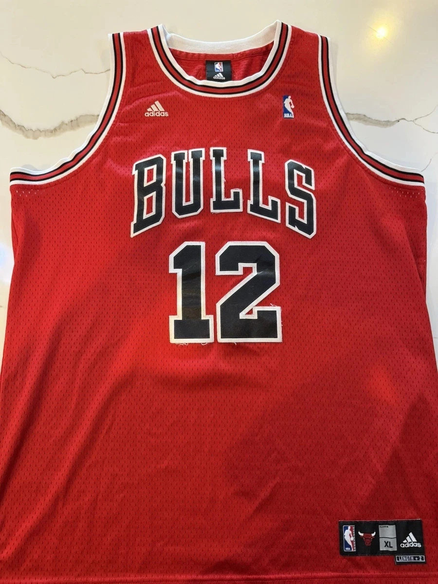 kirk hinrich jersey products for sale | eBay