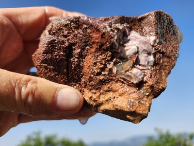 Dinosaur Gem Bone Cervical Vert With Pink Agate Botryoidal Inclusion. Very Rare.