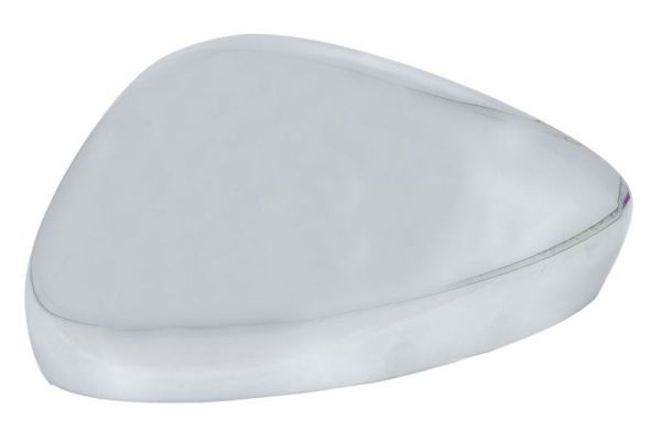 Left BLIC 6103-21-039355P Cover, exterior mirror for CITROËN