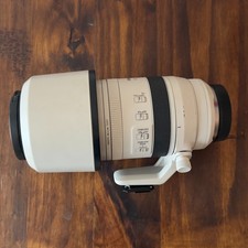 Canon RF 100-500mm f/4.5-7.1 L IS USM Mirrorless Lens