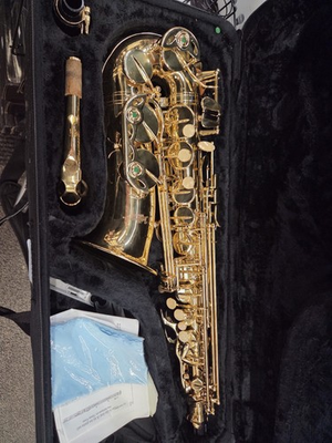 #ad Alto Saxophone Gold Brass Lacquered Finish with Case amp; Accessories $120.00