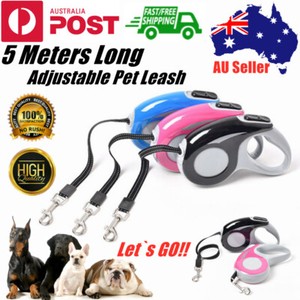 non chewable retractable dog leash