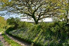 Photo A3 A track between Trew Farm and Clifford Mill Clifford/SS3021  c2014