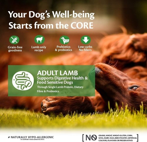 Natural Adult Lamb Dry Dog Food, 10kg - Grain-Free, Heart Healthy Nutrition - Picture 4 of 8