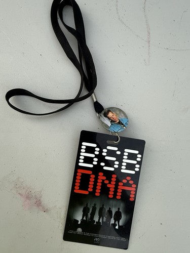 Backstreet Boys DNA World Tour 2019 Pass und Pin - selten