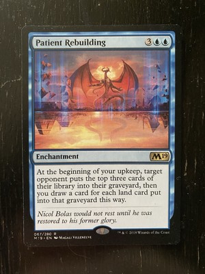Patient Rebuilding Core Set 2019 Regular