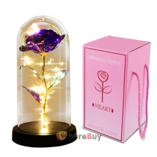 Enchanted Rose Flower In Dome Glass LED Night Light Anniversaries Christmas Gift