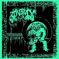 Stingray - Feeding Time - Vinyl Record Vl - G3Z