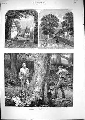 Alte 1880 Hawarden Lodge Chester Northop Straßenaxt Baummündung viktorianisch