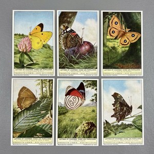 Reproduction Trade Card French Butterflies Set Of 6 Papillons Liebig 2.75x4.25"