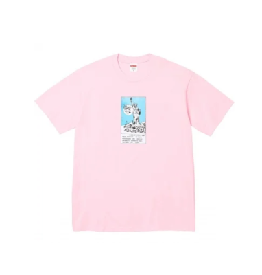 supreme ×Hanes コラボTシャツセット（白/ピンク） Supreme Week 1 FW 21/ Pink Supreme Hanes Boxers & White Est 1994