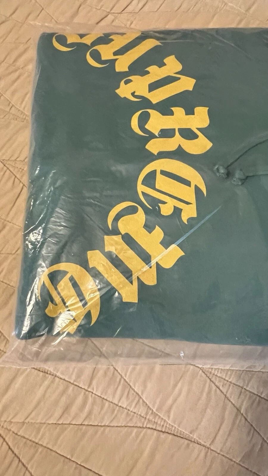 Sweat à capuche Supreme FW24 imprimé arc vert taille XL neuf EN MAIN