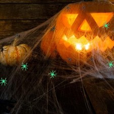 Spider web decoration with glow in the dark spiders 1.5 pounds of webs