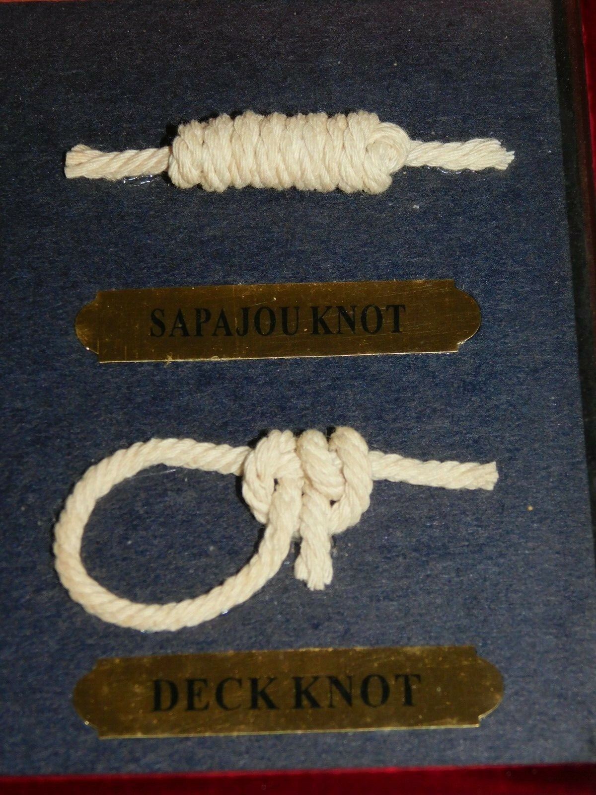 Picture 4 of 12