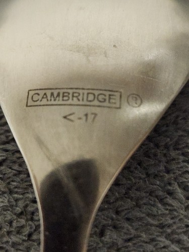 CAMBRIDGE ASPEN posate inox 4 cucchiaini - Foto 3 di 3