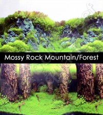 Mossy Rock Mountain/Underwater Forest 18"-20" Aquarium Background