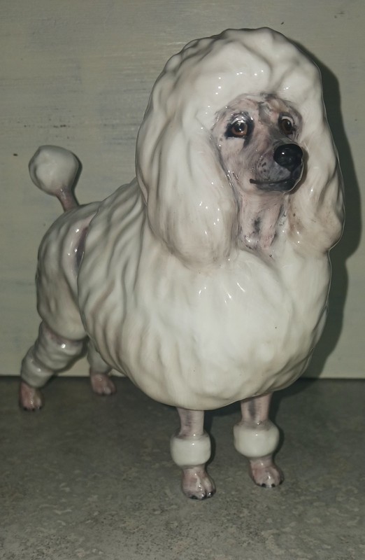 Vintage Royal Doulton Figurine French Poodle HN2631. 5.1/2 Inches. In 1952-1958