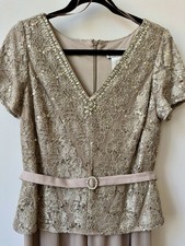 Metallic Champagne Draper And Damon's Evening Gown Formal Dress Size 12