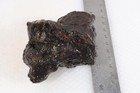 Turkey Stick Agate 15.1 oz lapidary rough lot Nq (Thunderegg Core) — photo 4