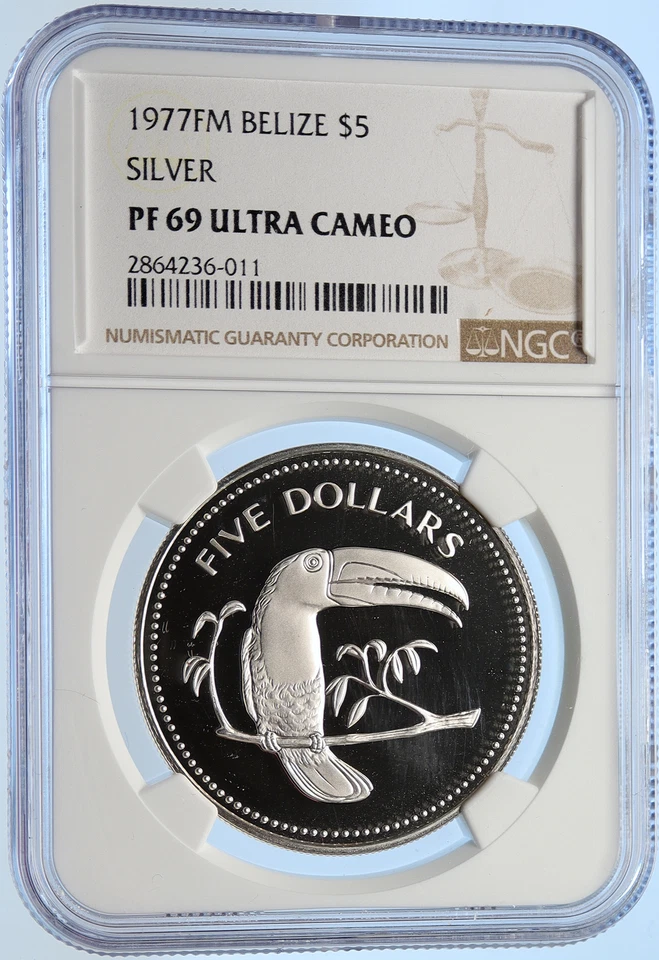 1977 BELIZE Avifauna Toucan BIRD Old VINTAGE Proof Silver $5 Coin NGC i106417 - Image 3 of 4