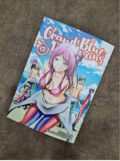 Grand Blue Dreaming 17 (Paperback)