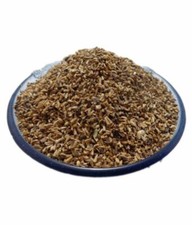 kasni seeds Chicory seed Cichorium intybus ,Indian Herb, Natural Ayurveda WHOLE