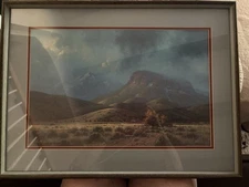 Signed Litho 697/1000 Michael Stack