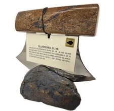 Handmade Made in Alaska Fossilized Mammoth Bone Ulu Knife